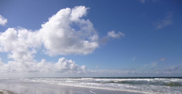 Picker Steuerberater